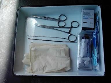 Instruments required for application of threads (Kshar Sutra)