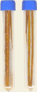Tubes Containing caustic threads (Kshar Sutra)