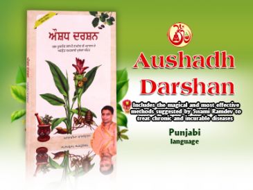 aushad darshan punjabi in Punjabi by Acharya Balkishan